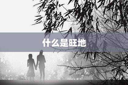 什么是旺地