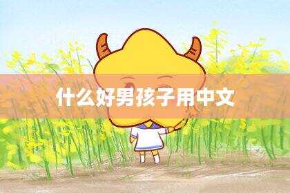 什么好男孩子用中文