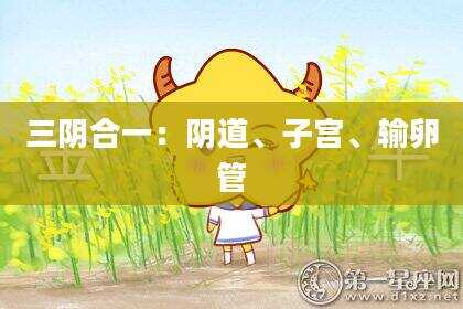 三阴合一：***、子宫、输卵管