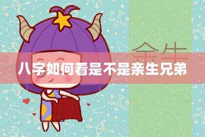 八字如何看是不是亲生兄弟