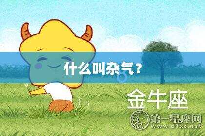 什么叫杂气？
