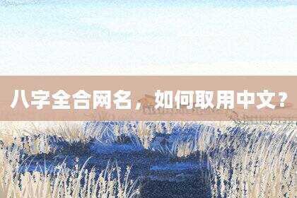 八字全合网名，如何取用中文？