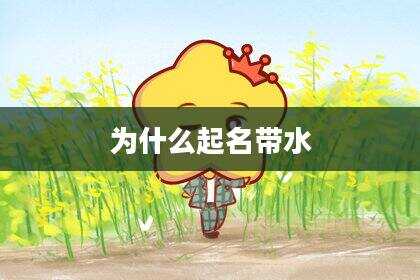 为什么起名带水