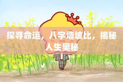 探寻命运，八字墙坡比，揭秘人生奥秘