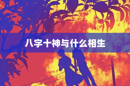 八字十神与什么相生