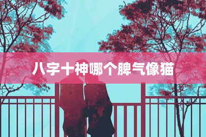 八字十神哪个脾气像猫