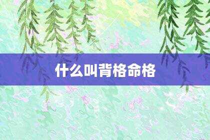 什么叫背格命格