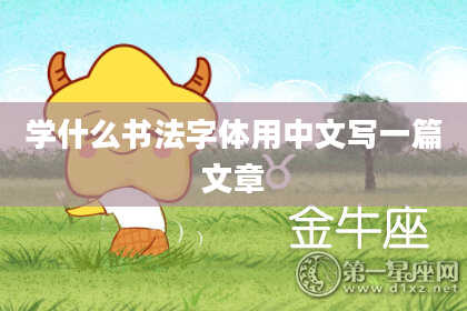 学什么书法字体用中文写一篇文章