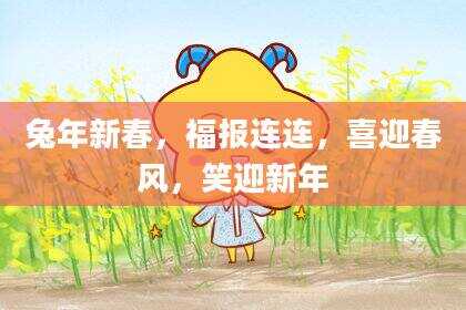 兔年新春，福报连连，喜迎春风，笑迎新年