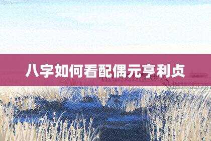 八字如何看配偶元亨利贞