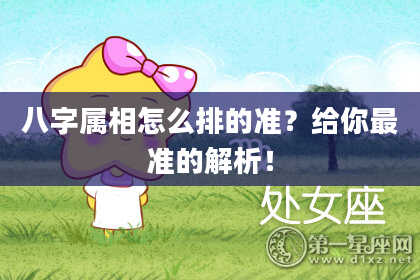 八字属相怎么排的准？给你最准的解析！