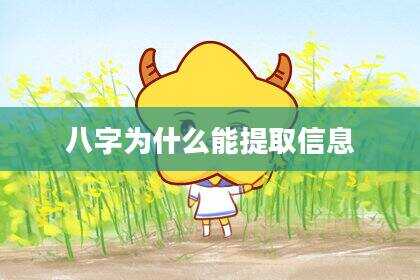 八字为什么能提取信息