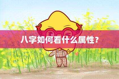 八字如何看什么属性？