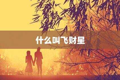 什么叫飞财星