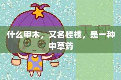 什么甲木，又名桂枝，是一种中草药