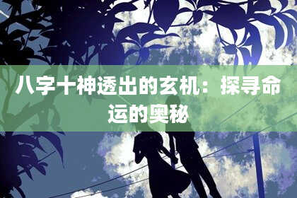 八字十神透出的玄机：探寻命运的奥秘
