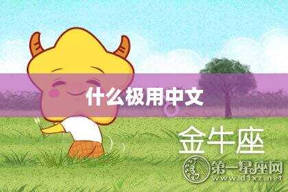 什么极用中文